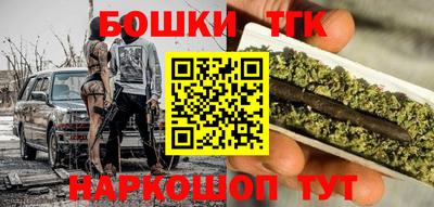 индика Ливны