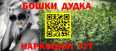 индика Ливны