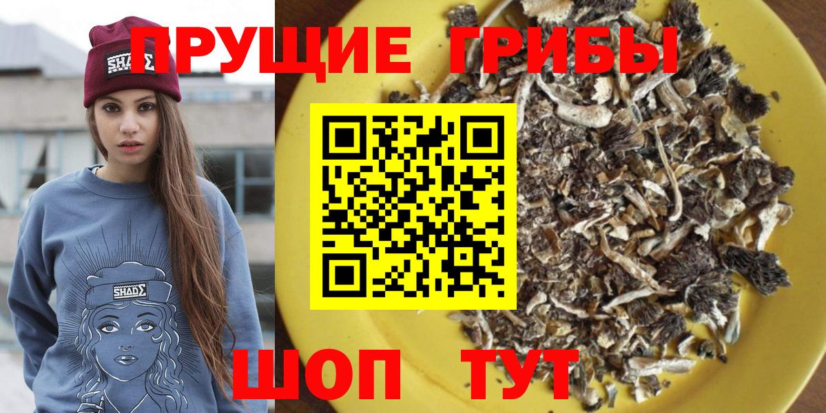 Псилоцибиновые грибы ЛСД  Галлюциногенные грибы ЛСД  Вход с VPN  Губкин 